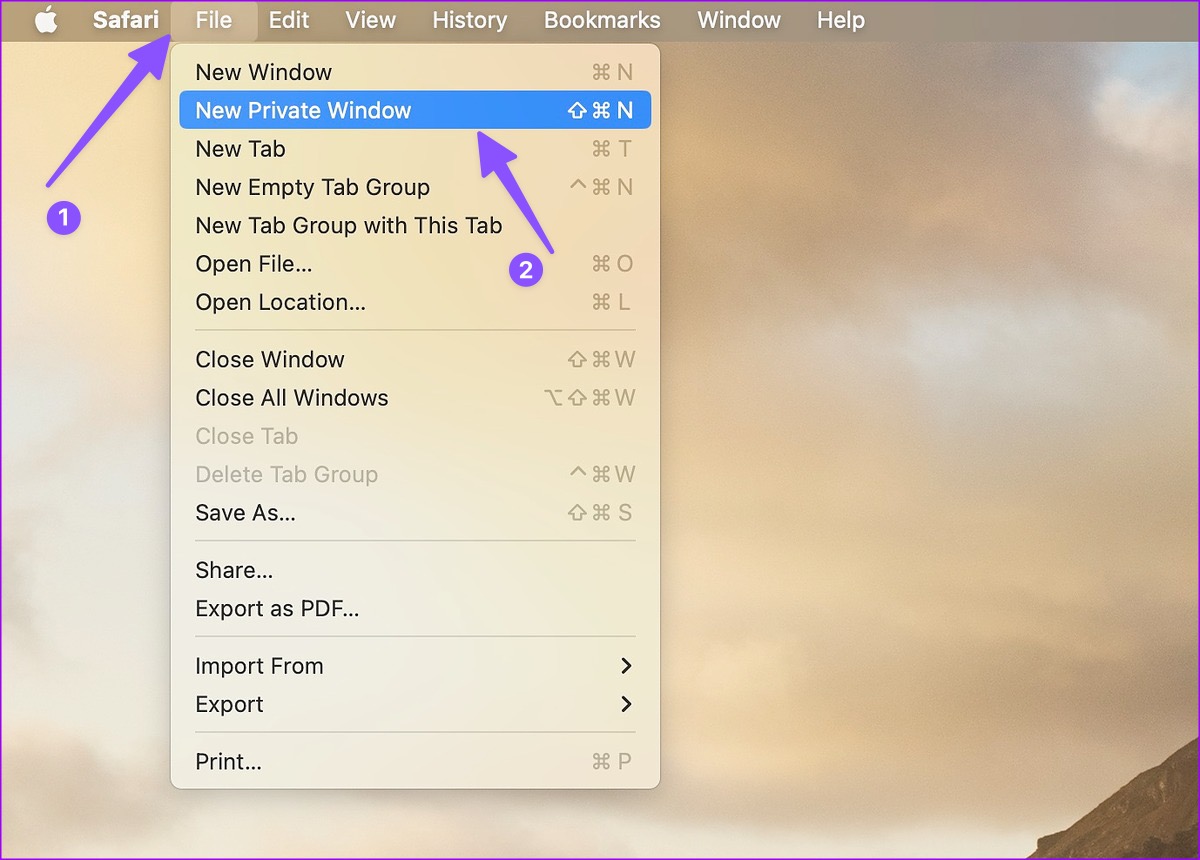 Open private mode in Safari on Mac