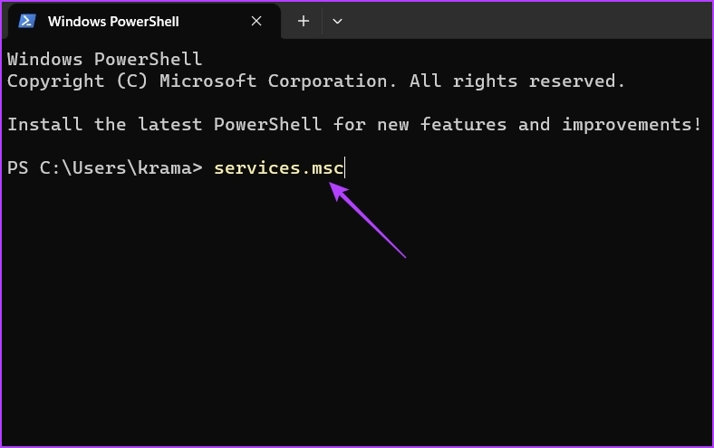 Services command in PowerShell window