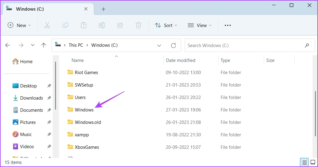 Windows folder in File Explorer