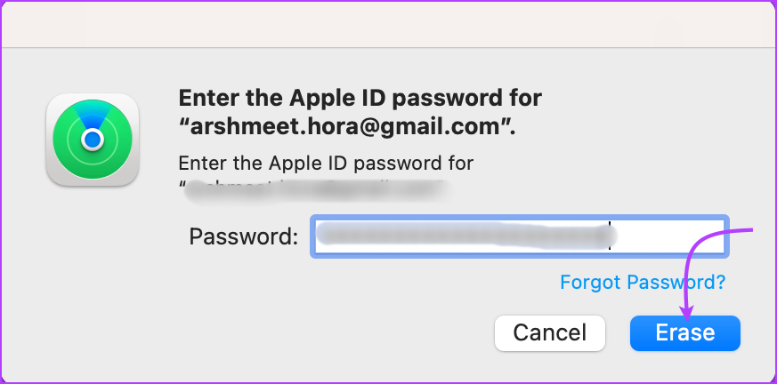 Enter your Apple ID password and click Erase